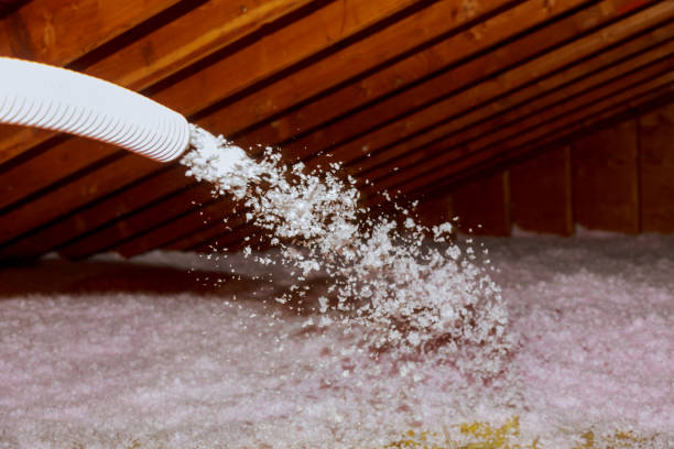 Best Commercial Insulation Contractor  in Chenoa, IL