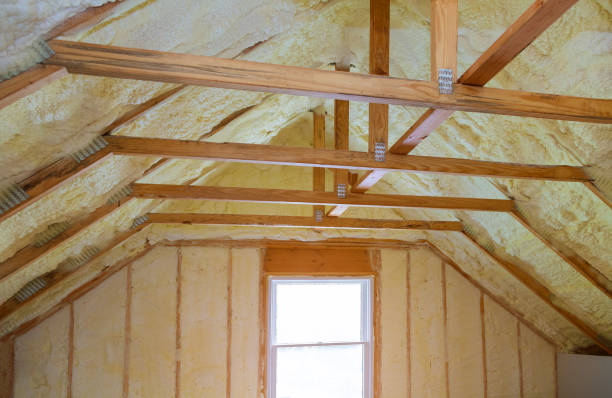 Best Energy-efficient Insulation  in Chenoa, IL