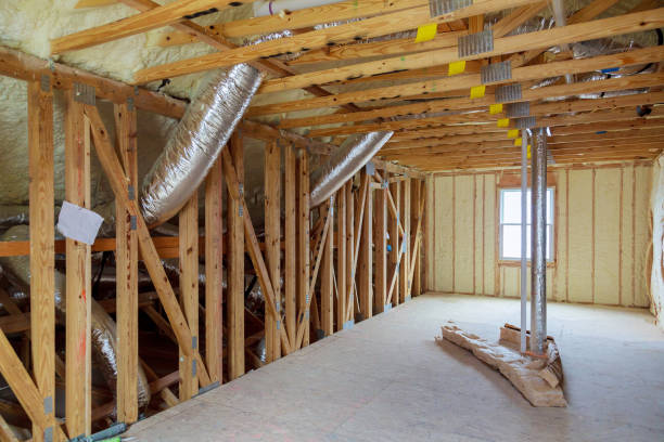 Best Attic Insulation Installation  in Chenoa, IL