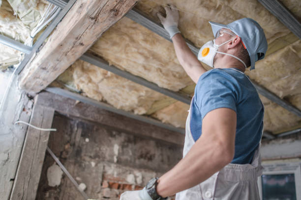 Best Residential Insulation Services  in Chenoa, IL