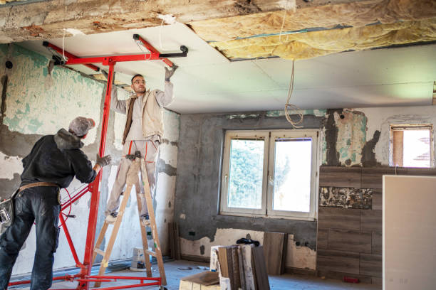 Best Energy-efficient Insulation  in Chenoa, IL