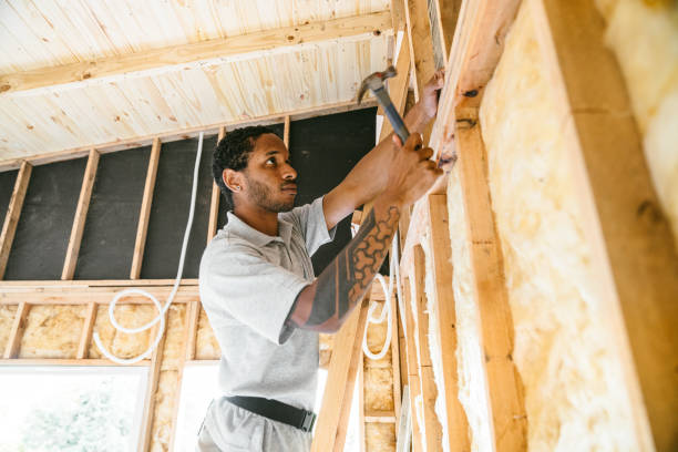 Best Insulation Contractors for Homes  in Chenoa, IL
