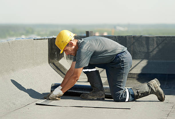 Best Local Insulation Services  in Chenoa, IL