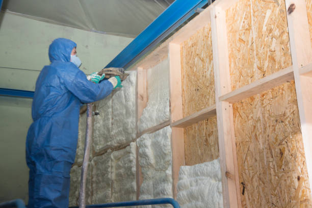 Best Crawl Space Insulation  in Chenoa, IL